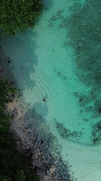 Top Down Aerial Of Turquoise Reef Lagoon With Lone Swimmer