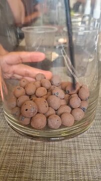 Pouring and Mixing Crushed Activated Charcoal with Lightweight Expanded Clay Aggregate LECA Balls of clay Used to Make a False Bottom in Terrarium for Drainage