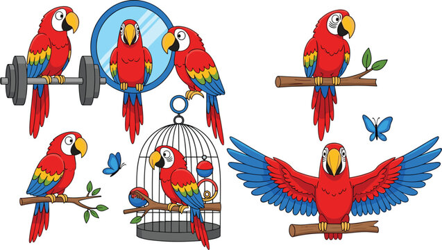 Colorful red macaw parrot perched on branch looking in mirror inside cage and flying vector illustration set