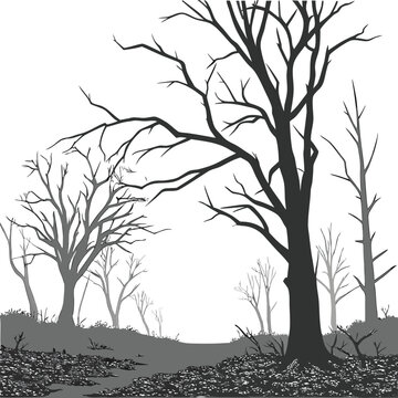 Barren trees, leafless landscape, gray silhouette, vector illustration, nature background