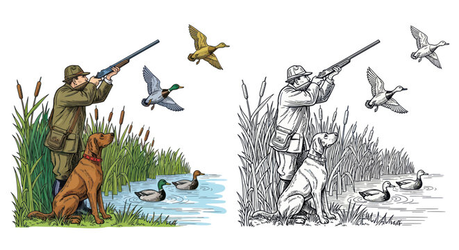 Duck hunter with dog aiming shotgun at mallards in marshland