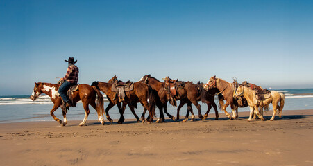 Fototapeta premium Straight on view of a cowboy on horseback wearing a and plaid shirt leading horses and ponies on a beach