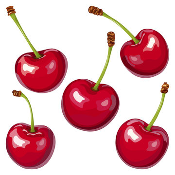 Red cherry berries set isolated on white background. Vector glossy fruit elements for summer design