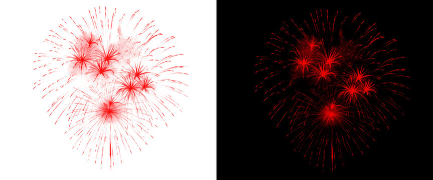 Red fireworks explosion isolated on white and black backgrounds, vibrant pyrotechnic burst set, festive firework display for holiday celebration