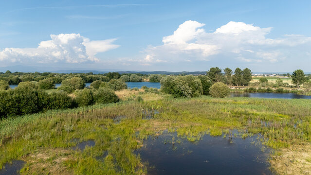 Lagoa da Lontra wetland creating a tranquil natural landscape