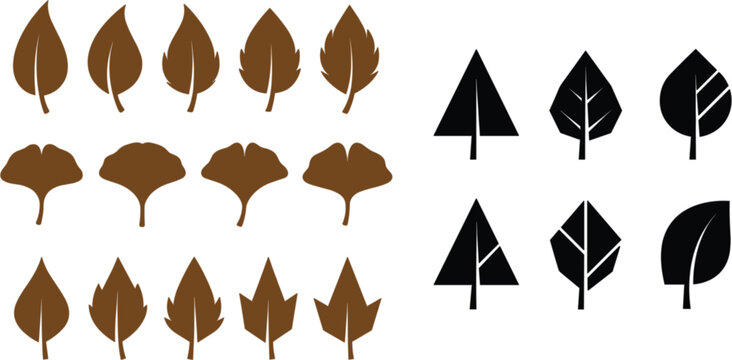 Various tree leaf shapes icon set in brown and black silhouette nature symbol vector illustration design collection