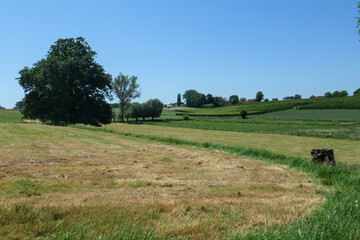 Fototapeta premium Wanderung in den Vlaamse Ardennen bei Oudenaarde in der Nähe von Gent, Ostflandern. Schöne Wege durch die wundervolle Landschaft. Ein Paradies für Wanderer.