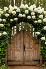 Naklejka premium Rustic wooden double gate framed by white hydrangeas and green leaves. Birch trees stand behind leafy archway. Entrance to secret garden, fairytale estate or backyard.