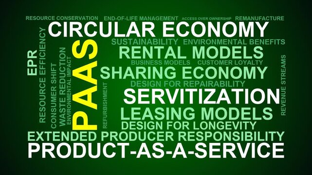 Paas Word Cloud