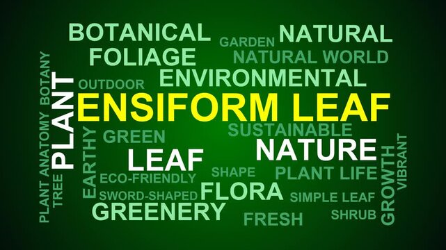 Ensiform Leaf Word Cloud