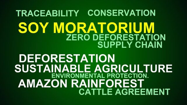 Soy Moratorium Word Cloud