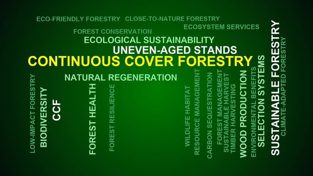 Continuous Cover Forestry Word Cloud