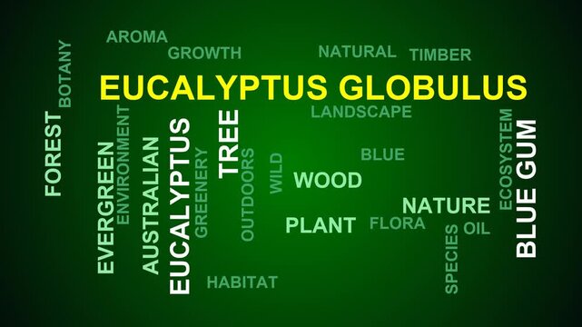 Eucalyptus Globulus Word Cloud