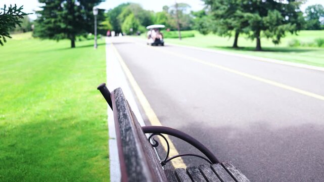Tourists on mini bus move along the asphalt path in the park. View from the back. Green trees and grass in summer. 