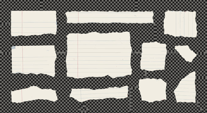 Collection of torn lined paper scraps with rough edges on a transparent background