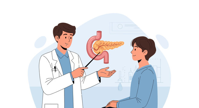 Doctor explains pancreas anatomy and function to patient illustration