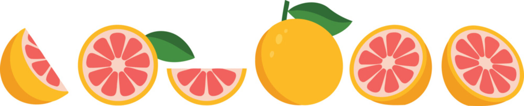 Fresh red grapefruit slices and whole fruit vector illustration.