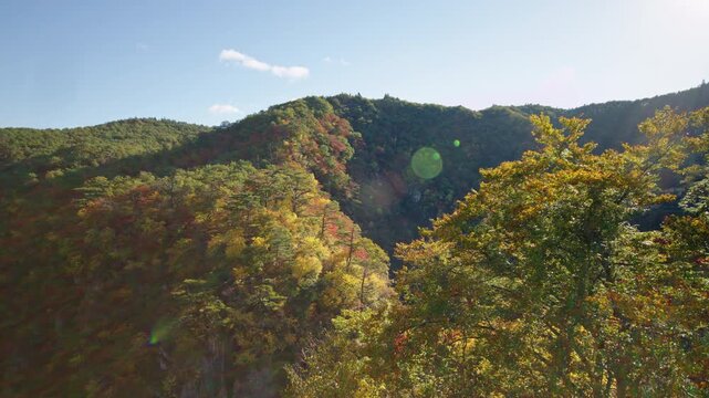 紅葉の名所 秋の鳴子峡の風景　Autumn scenery of Naruko Gorge, a famous spot for autumn foliage.