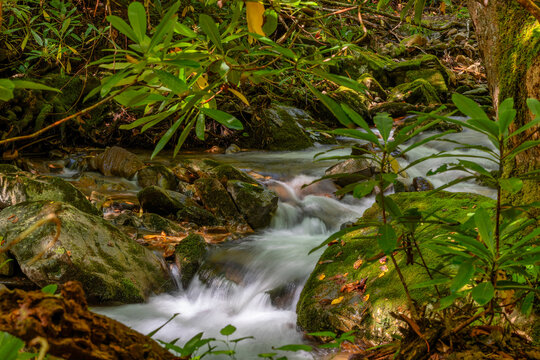 Beautiful running water found in Lamar Alexander State Park