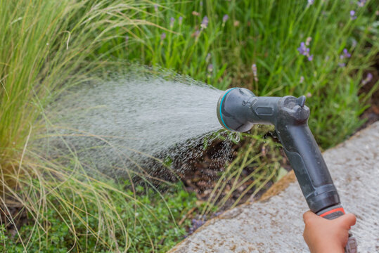 Watering with garden hose, close-up, child's hands