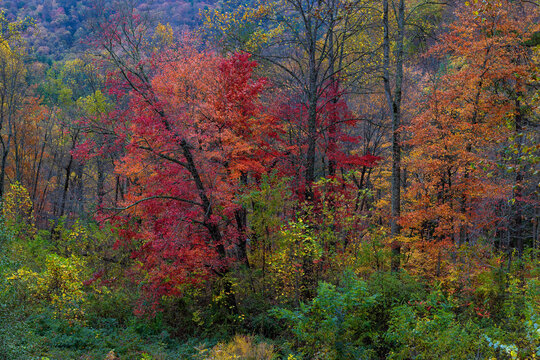Autumn in Cherokee National Forest in Tennessee, USA