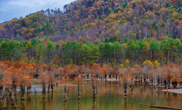 Autumn at Watauga Lake in Cherokee National Forest in Tennessee, USA