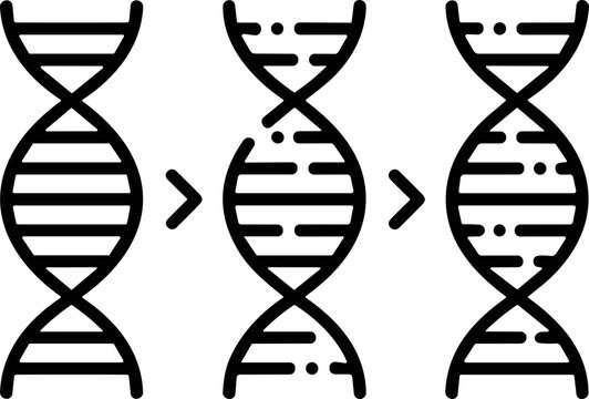 DNA sequence evolution, genetic mutation and scientific research