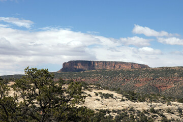 Fototapeta premium View of the landscape from Capitol Reef National Park Scenic Drive, Utah SR 24