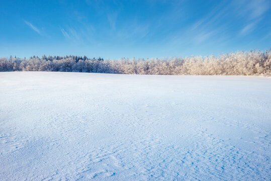 Beautiful  winter landscape with textured snow field and frosted forest. Wide winter nature background banner with copy space representing frozen plain, majesty and freedom.