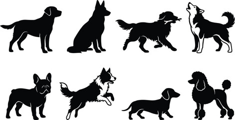 Collection of domestic dog breed silhouettes featuring labrador german shepherd golden retriever husky french bulldog border collie and poodle vectors © MdShahedul