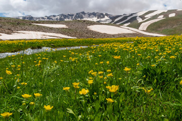 Fototapeta premium Eğrigöl plateau is located at the top of the Taurus Mountains in Türkiye. The lake, located in Alanya district, is famous for its endemic flowers in spring and the snow masses on its mountains.