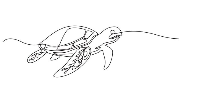 Self drawing animation of sea turtle drawn by one continuous line. Animated single line doodle animal, Turtle. One line drawing animation. Cute ocean reptile 4k video Full length line animation.
