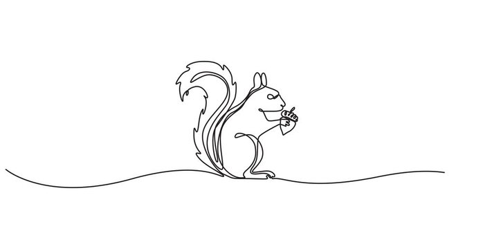 Animation of continuous line drawing squirrel is jumping. Natural behavior. Running. Avoiding incoming threats. National Squirrel Appreciation Day. One line self drawing animated. Full length motion