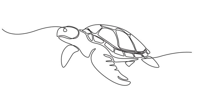 Self drawing animation of sea turtle drawn by one continuous line. Animated single line doodle animal, Turtle. One line drawing animation. Cute ocean reptile 4k video Full length line animation.