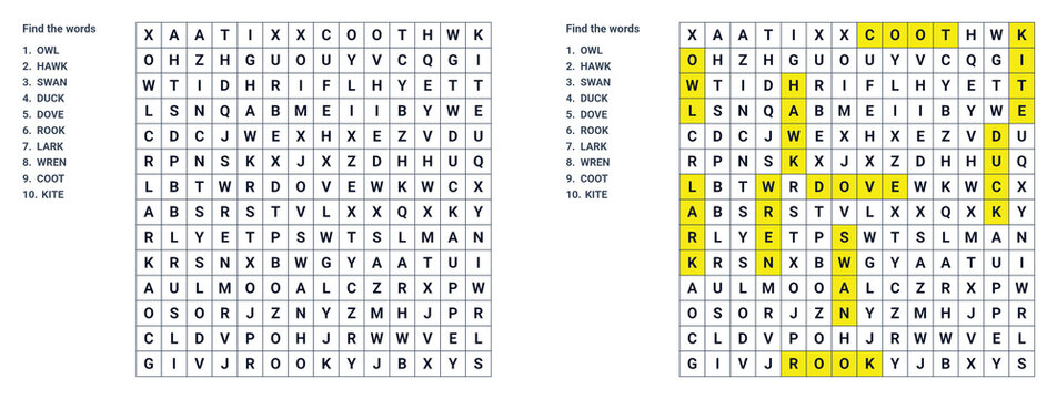 Word search puzzle featuring birds