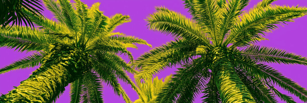 Neon green and yellow palm trees viewed from below against a vivid purple sky in a bold tropical pop art style.