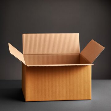 Open Empty Cardboard Box on Dark Gray Background
