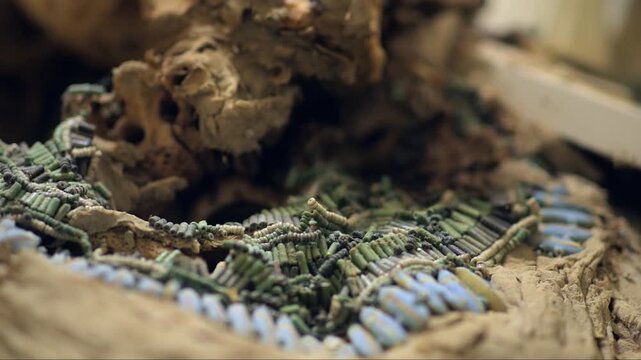 Close up focus pull on an ancient Egyptian faience bead net artifact from a mummy