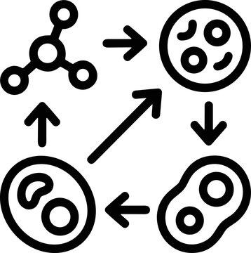 Microscopic cell division cycle and molecular structure diagram