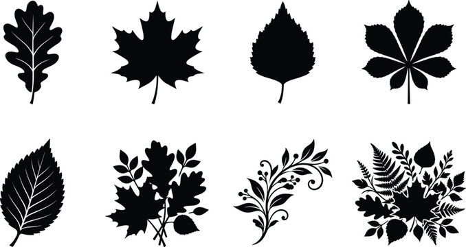Vector silhouettes set of realistic tree leaves including oak maple birch chestnut elm fern fronds and decorative branch bouquets