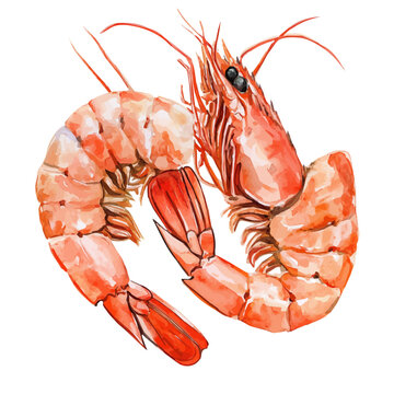 Mitraillette, watercolor artwork with bold brush accents and dynamic composition, isolated on a white background.