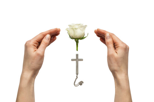 Hands holding a white rose and a cross with abortion pill