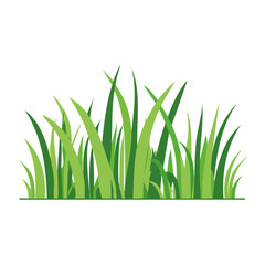 Fototapeta premium Flat design green grass illustration