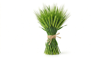 Obraz premium Fresh Green Wheat Stalks Tied Together with Twine on a White Background