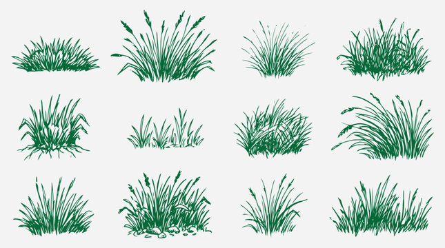Set of hand drawn green grass bushes isolated on white background editable vector file