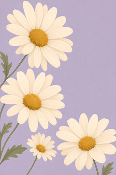 Vibrant daisies bloom beautifully on a lovely purple wallpaper background for hp handphone