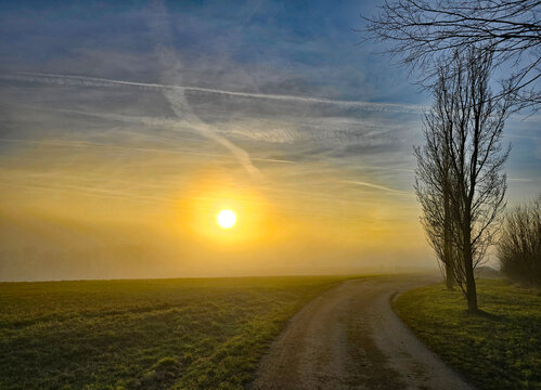 Beautiful photos of a landscape shrouded in fog and a sunset, featuring trees and crosses