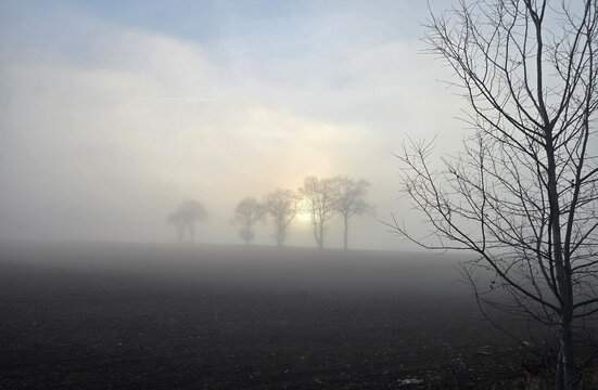 Beautiful photos of a landscape shrouded in fog and a sunset, featuring trees and crosses