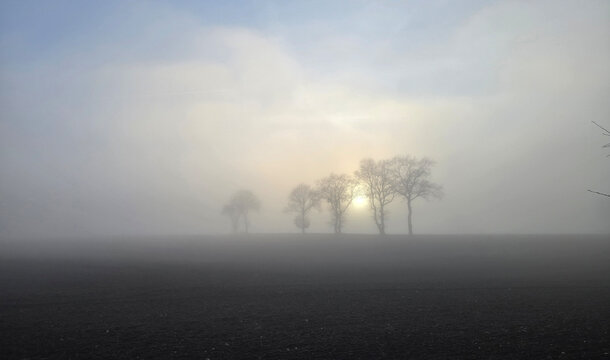 Beautiful photos of a landscape shrouded in fog and a sunset, featuring trees and crosses