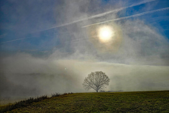 Beautiful photos of a landscape shrouded in fog and a sunset, featuring trees and crosses